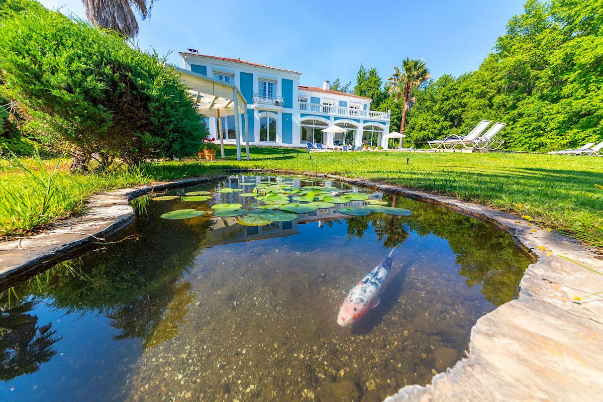 villa-zarik-210616-020356_0003